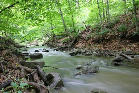 creek river stream|Iba pa.